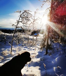 IMG_20221210_141149.jpg