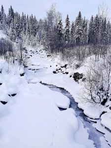 IMG_20221211_161201.jpg