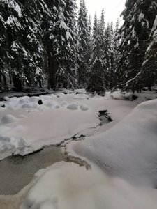 IMG_20221212_130731.jpg