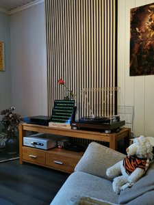 IMG_20221215_092701.jpg