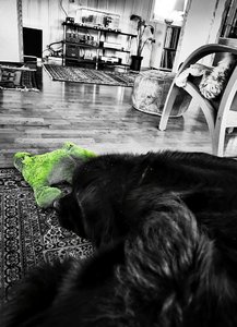 IMG_20221216_094816.jpg