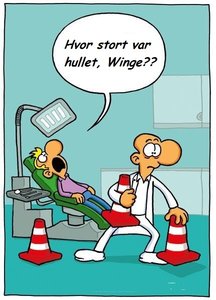stort hull winge.jpg