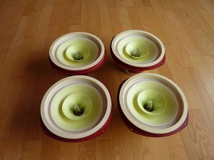 coral beta 8  4 stk.jpg