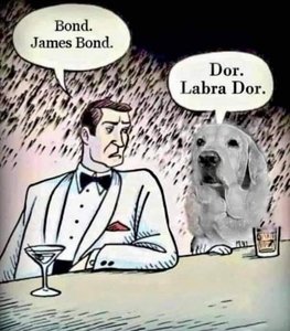 Bond James Bond.jpg
