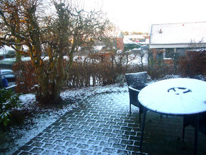 L1000325.JPG