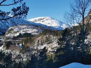 IMG_20230126_130102.jpg