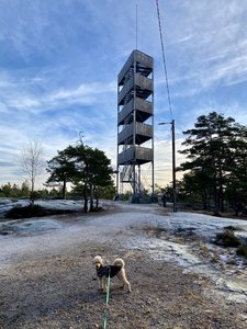 8B3976C8-3D49-46E0-A9FB-B2A268E4DF3C.jpeg