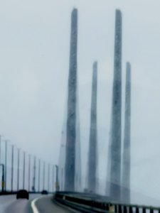 IMG_20230126_112100.jpg