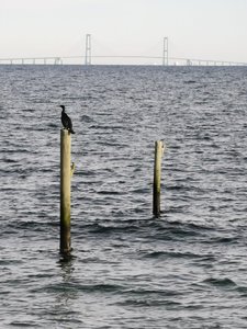 IMG_20230127_113452.jpg