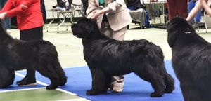 IMG_20230130_105835.jpg