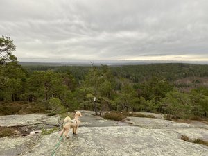 3A4D465B-168B-4AAD-86CA-EFA1216F271E.jpeg