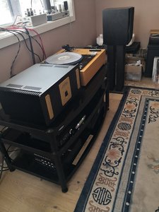 IMG_20230203_110821.jpg
