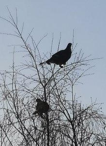 IMG_20230202_110332.jpg