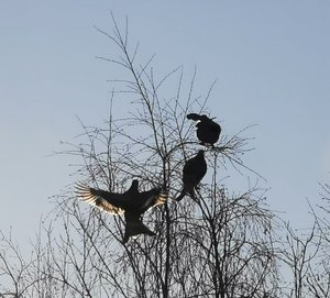 IMG_20230202_110210.jpg