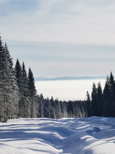 IMG_20230204_120323.jpg