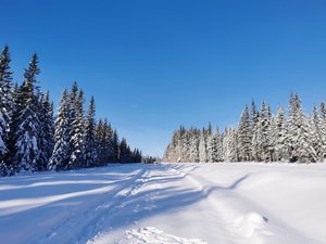 IMG_20230204_115337.jpg