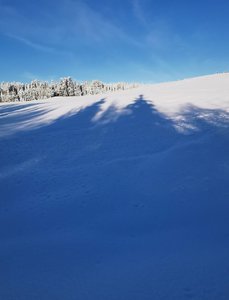 IMG_20230205_085043.jpg
