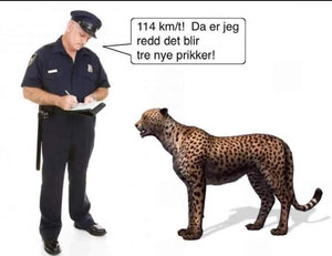 Bøter.jpg