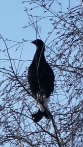 IMG_20230213_101904.jpg
