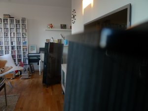 P1010834.jpg