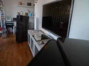 P1010837.jpg