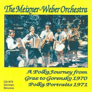 the meixner weber orchestra.jpg