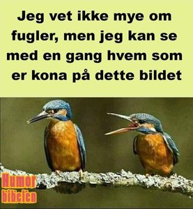 32309788-9BBE-4390-97EC-EE5635DD3973.jpeg