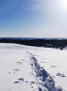 IMG_20230221_124118.jpg