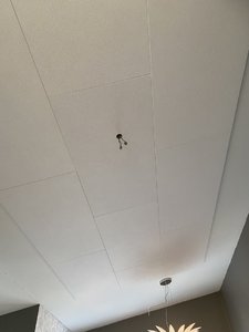 IMG_9288.jpg