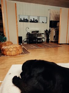 IMG_20230302_223217.jpg