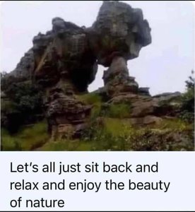 FB_IMG_1676492701441.jpg