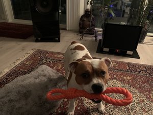 2569D507-77D8-4273-95B5-3D9503E901BB.jpeg