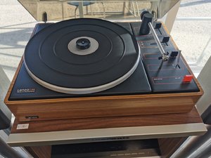 IMG_20230303_113122.jpg