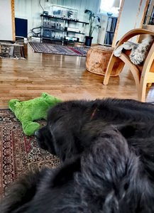 IMG_20221215_143147.jpg