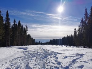 IMG_20230307_124241.jpg
