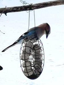 IMG_20230303_104430.jpg