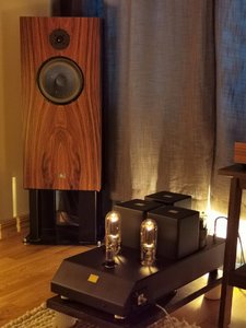 IMG_20230311_114227.jpg