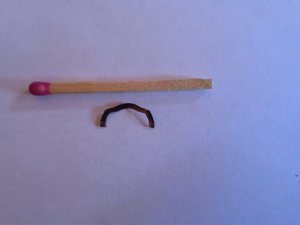 IMG_20230315_114052.jpg