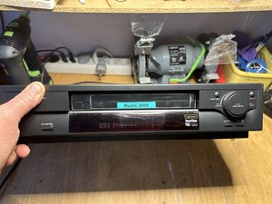 IMG_2255.jpeg