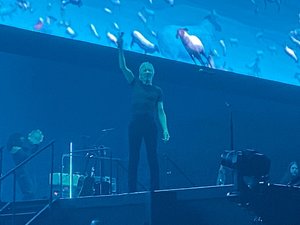 IMG_9523.jpg