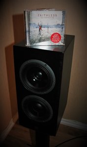 faithless-hoyttaler.JPG