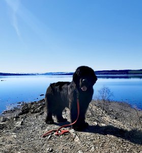 IMG_20230421_195000.jpg