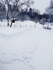 IMG_20230425_092335.jpg