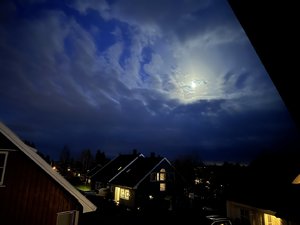 IMG_2806.jpeg