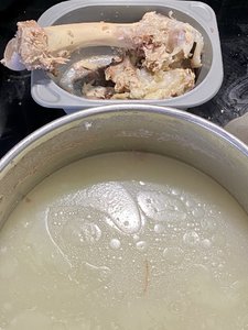 IMG_6609.jpeg