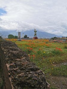 IMG_20230517_100248.jpg