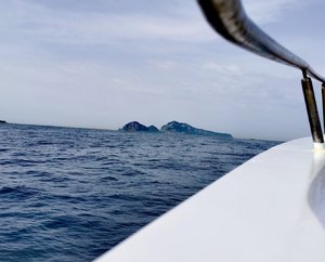 IMG_20230519_211912.jpg