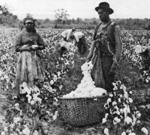 cotton-pickers.jpg