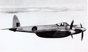 Hornet 2.jpg