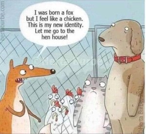Born A Fox.jpg